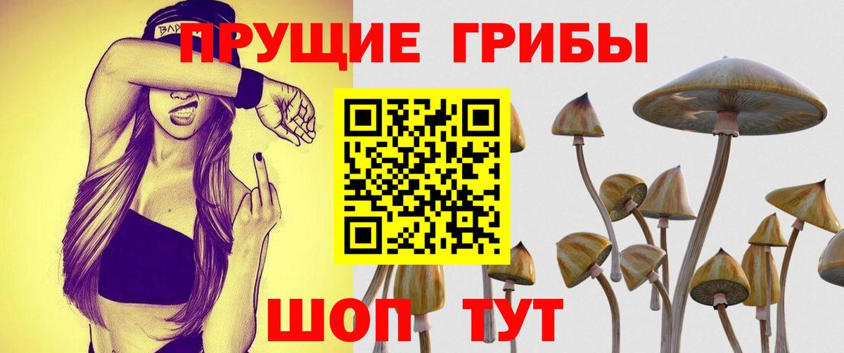 Галлюциногенные грибы Cubensis Норильск