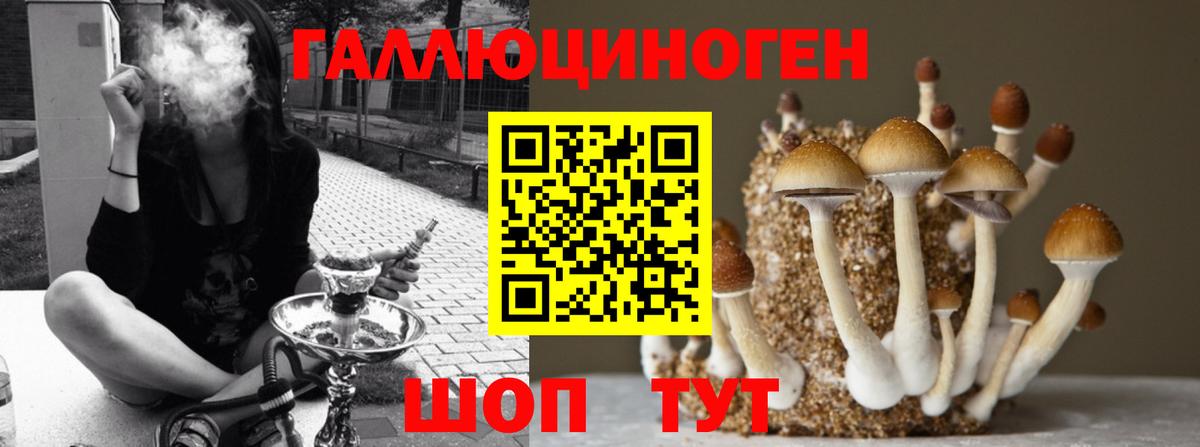 цены   Вход с VPN  Норильск  Псилоцибиновые грибы Cubensis  Галлюциногенные грибы MAGIC MUSHROOMS 